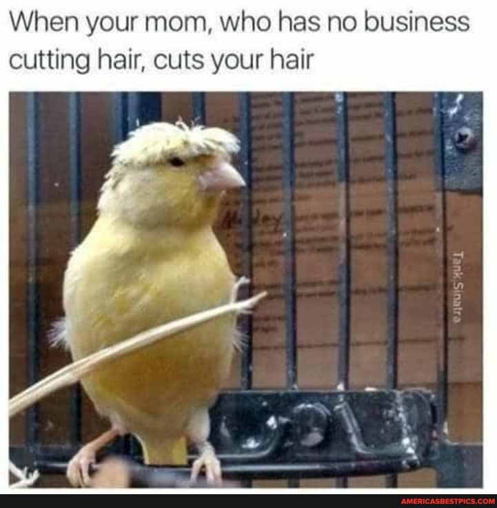 When Your Mom Who Has No Business Cutting Hair Cuts Your Hair America S Best Pics And Videos