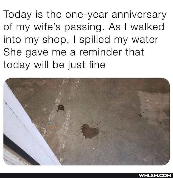 Today is the one-year anniversary of my wife's passing. As I walked into my shop, I spilled my water
She gave me a reminder that today will be just fine