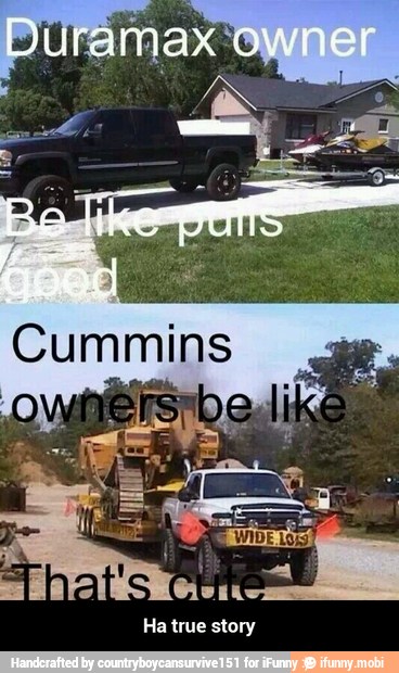 CUT
Ha true story - Ha true story