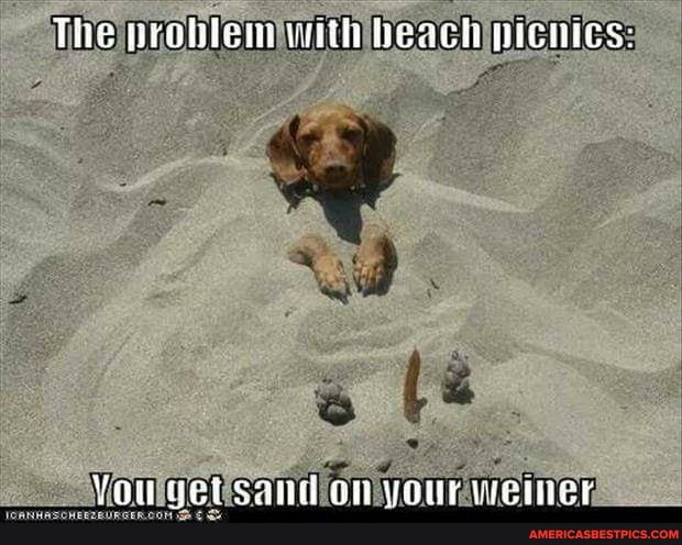 The prohlem vat beach picnics:
You vet sand on your ieiner
