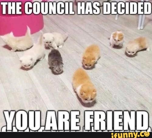 THE COUNCIL HAS DECIDED
YOU ARE FRIEND