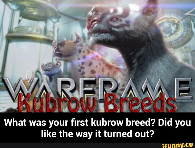 What was your first kubrow breed? Did you
like the way it turned out? - What was your first kubrow breed? Did you like the way it turned out?