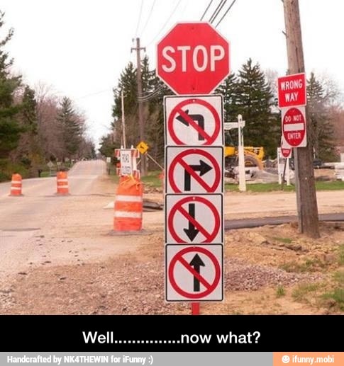 Well...............now what?