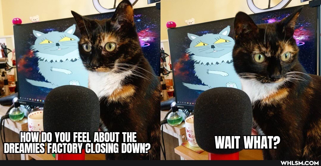 HOW DO YOU FEEL ABOUT THE DREAMIES FACTORY CLOSING DOWN? WAIT WHAT?