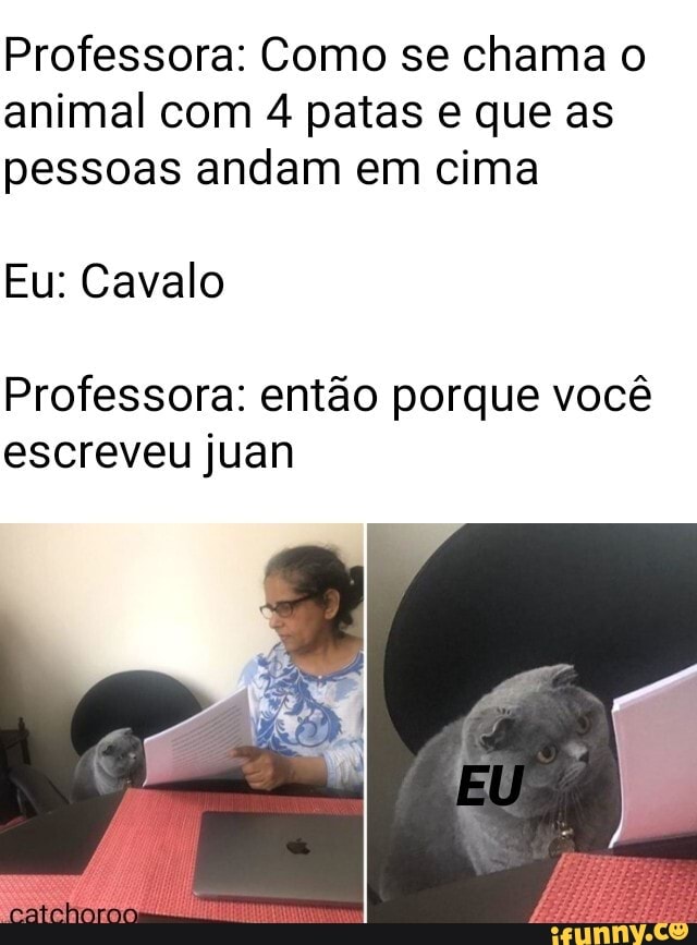 Professora: Como se chama o animal com 4 patas e que as pessoas andam em cima
Eu: Cavalo
Professora: então porque você escreveu juan