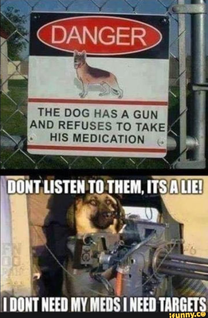 DANGER
THE DOG HAS A GUN AND REFUSES TO TAKE HIS MEDICATION
USTEN
IR
DONT NEED MY EDS NEED TARGETS