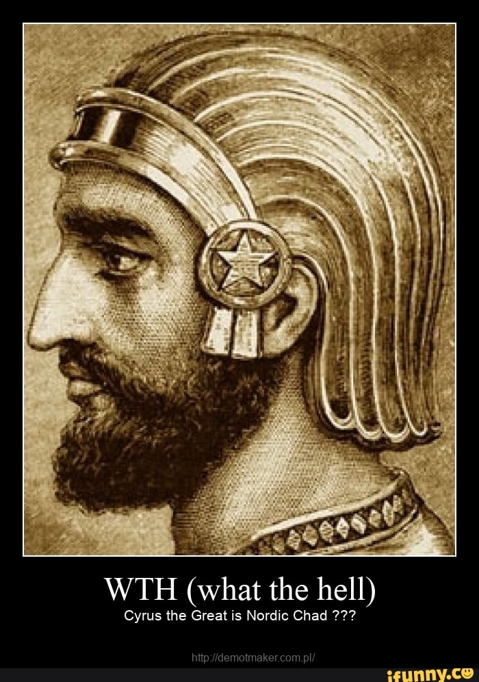 Just noticed how similar that image of Cyrus is to the chad meme. :  r/HistoryMemes