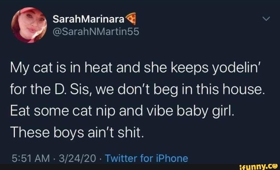 My cat is in heat and she keeps yodelin' for the D. Sis, we don't beg ...