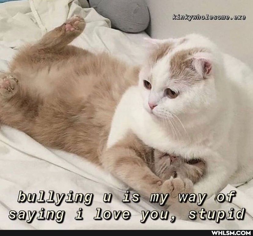 is way y saying & Love you, stupids