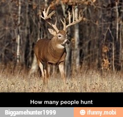 How many people hunt - How many people hunt