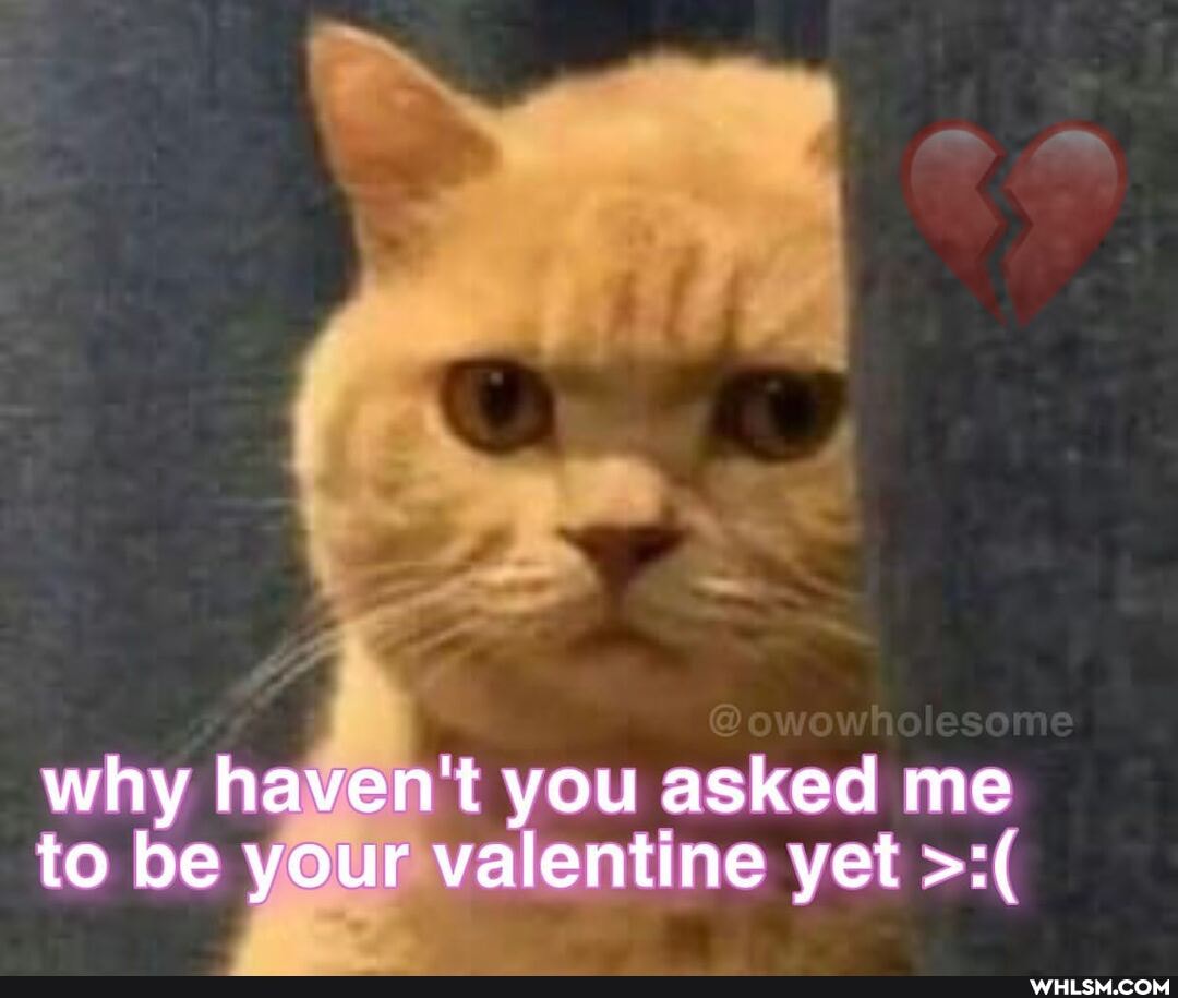 why haven't you asked me to be your valentine yet