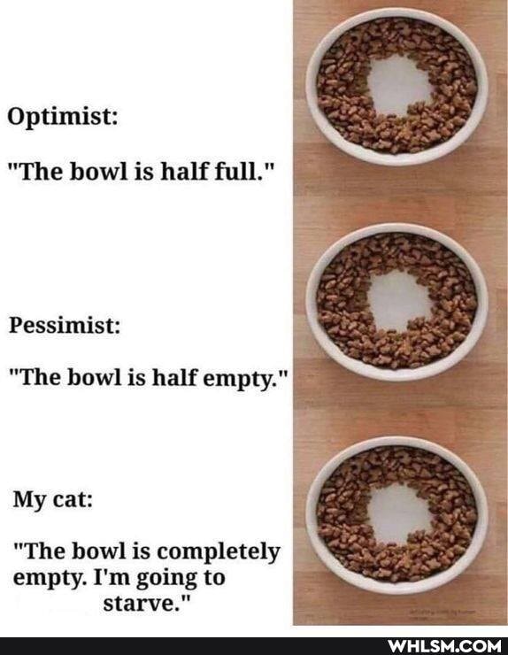 Optimist:
"The bowl is half full."
Pessimist:
"The bowl is half empty."
My cat:
"The bowl is completely empty. I'm going to starve."