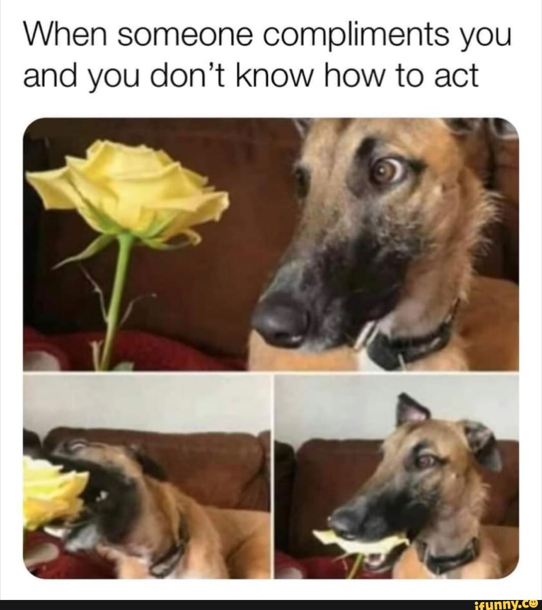 When someone compliments you
and you don't know how to act