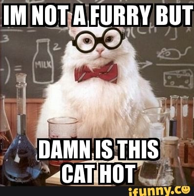 IM NOT FURRY, BUT
bi
DAMN IS THIS CAT HOT