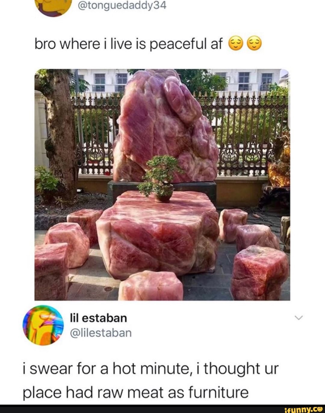 bro where i live is peaceful af &
i swear for a hot minute, i thought ur
place had raw meat as furniture