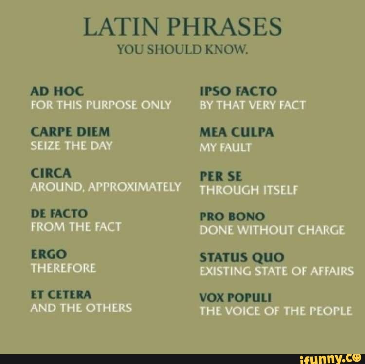 Here are 12 Latin phrases that will help you carpe diem
