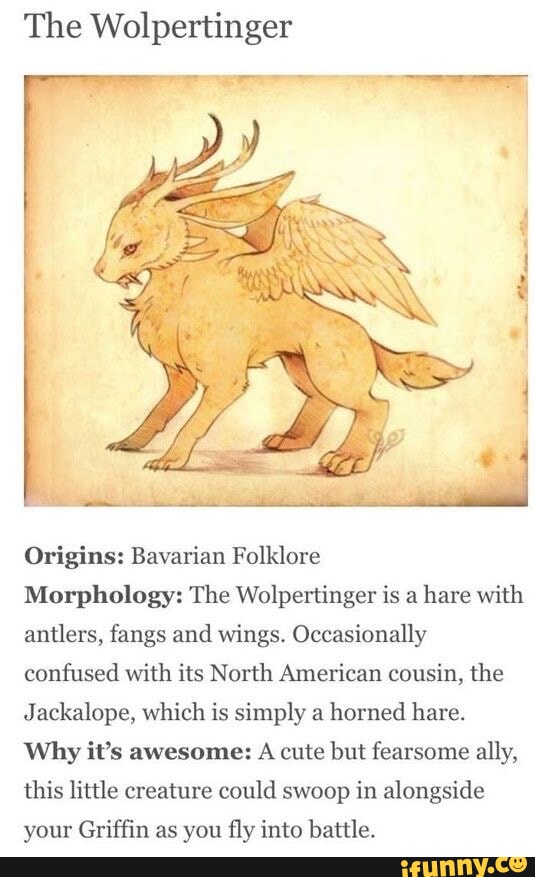 Swoop Creauture The Wolpertinger Origins: Bavarian Folklore Morphology: The ...