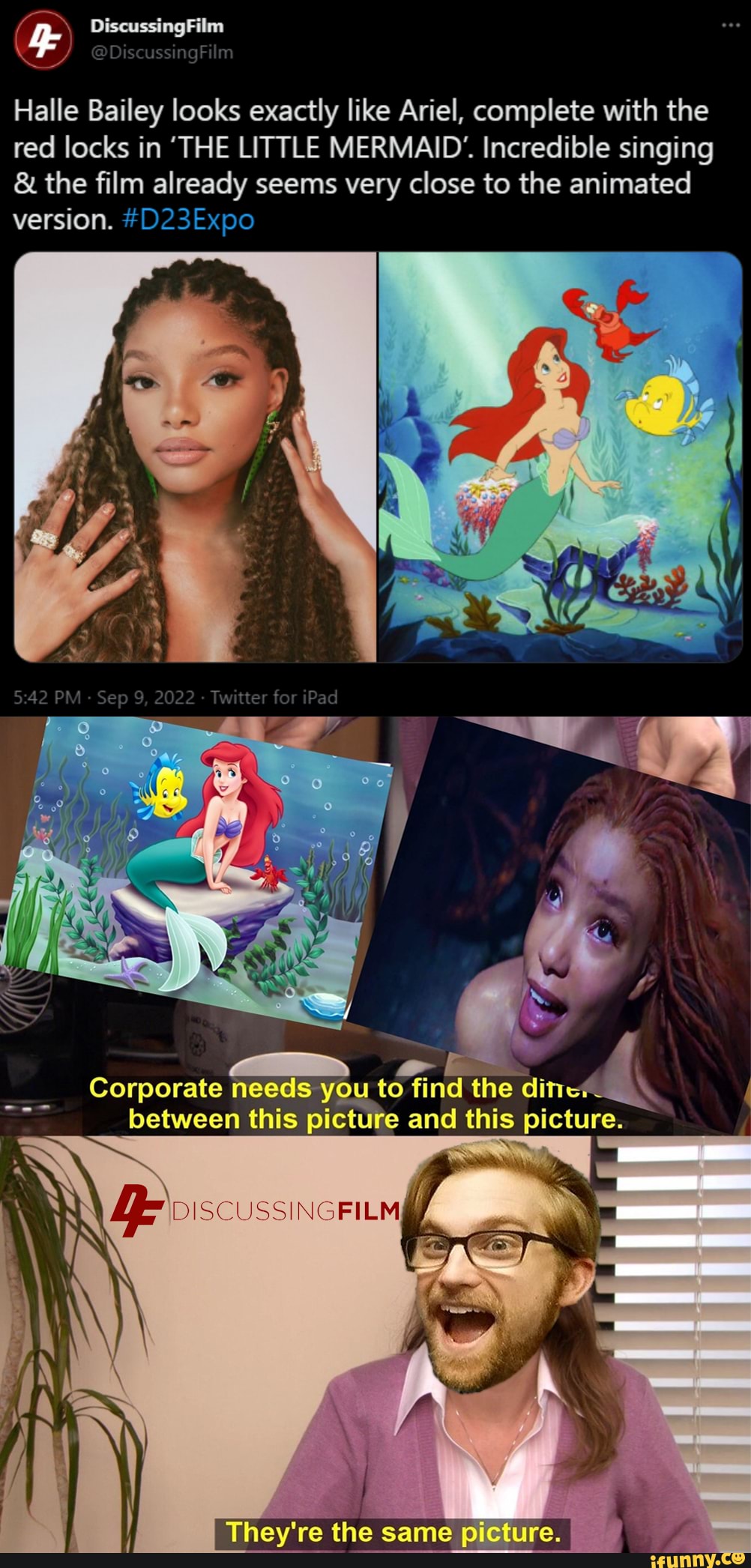 Halle bailey Memes Best Collection Of Funny Halle bailey Pictures On 