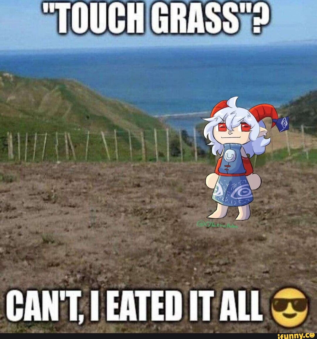 getting ready to touch grass Genshin Impact