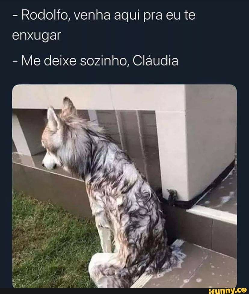 - Rodolfo, venha aqui pra eu te enxugar
- Me deixe sozinho, Cláudia
