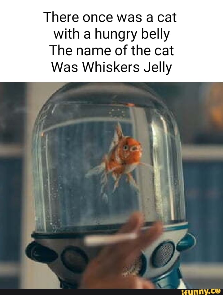There once was cat with a hungry belly The name of the cat Was Whiskers Jelly iFunny