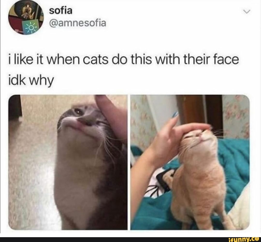 i like it when cats do this with their face
idk why