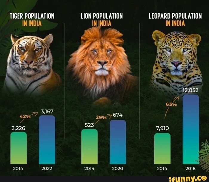 TIGER POPULATION LION POPULATION LEOPARD POPULATION IN INDIA IN INDIA ...