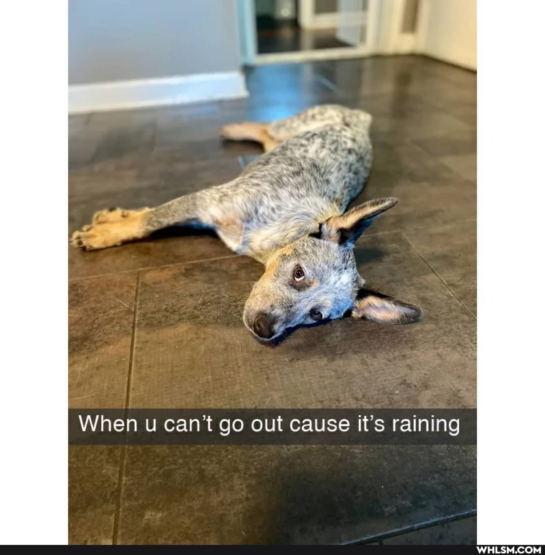 When u can't go out cause it's raining