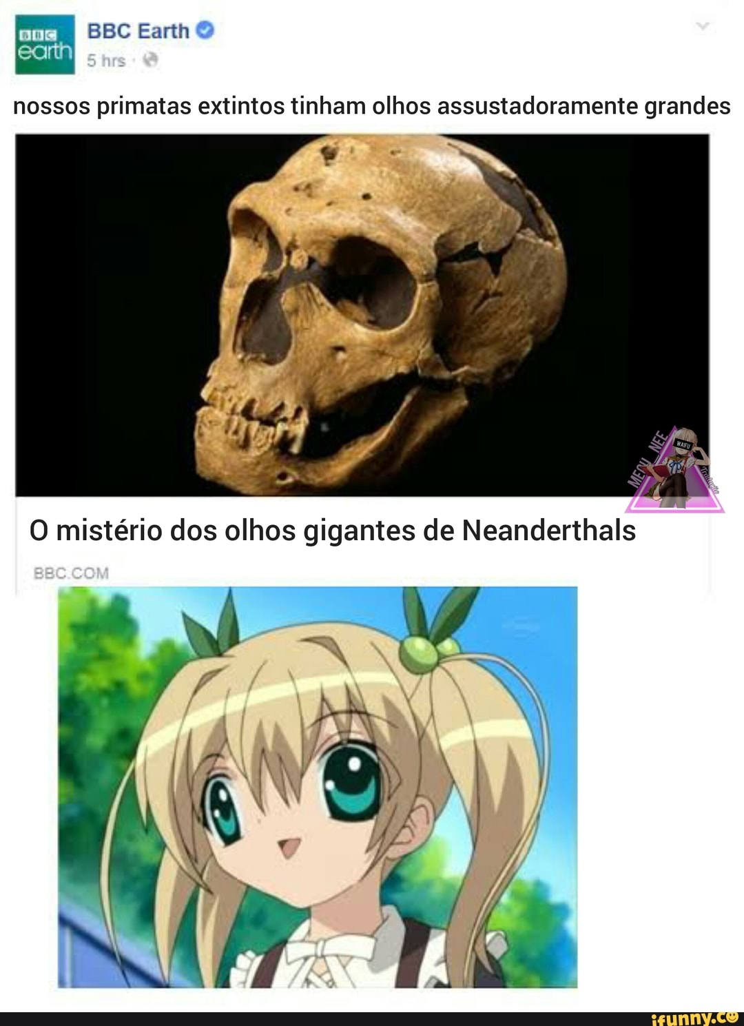 BBC Earth
us
nossos primatas extintos tinham olhos assustadoramente grandes
O mistério dos olhos gigantes de Neanderthals