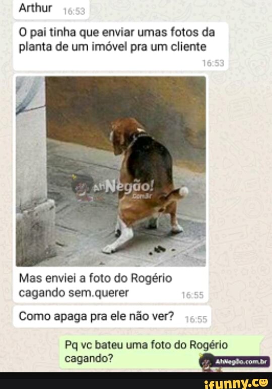 O pai tinha que enviar umas fotos da
planta de um imóvel pra um cliente
Mas enviei a foto do Rogério
cagando sem.querer
Como apaga pra ele não ver?
Pq vc bateu uma foto do Rogério
cagando? CET