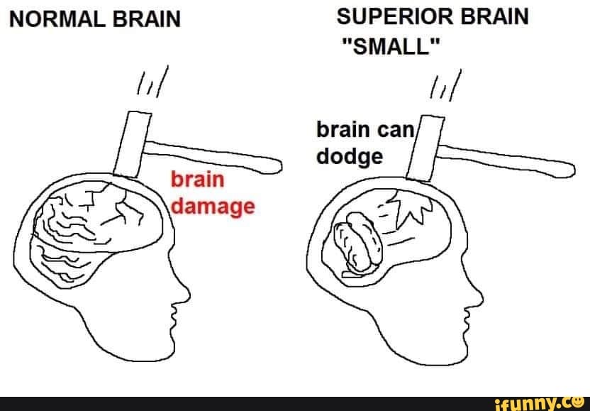NORMAL BRAIN SUPERIOR BRAIN
"SMALL"
if