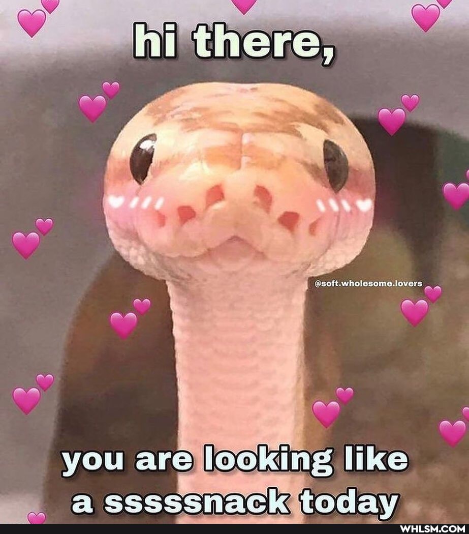 there,
ar
@soft.wholesome.lovers
you are looking like le Sepel saw