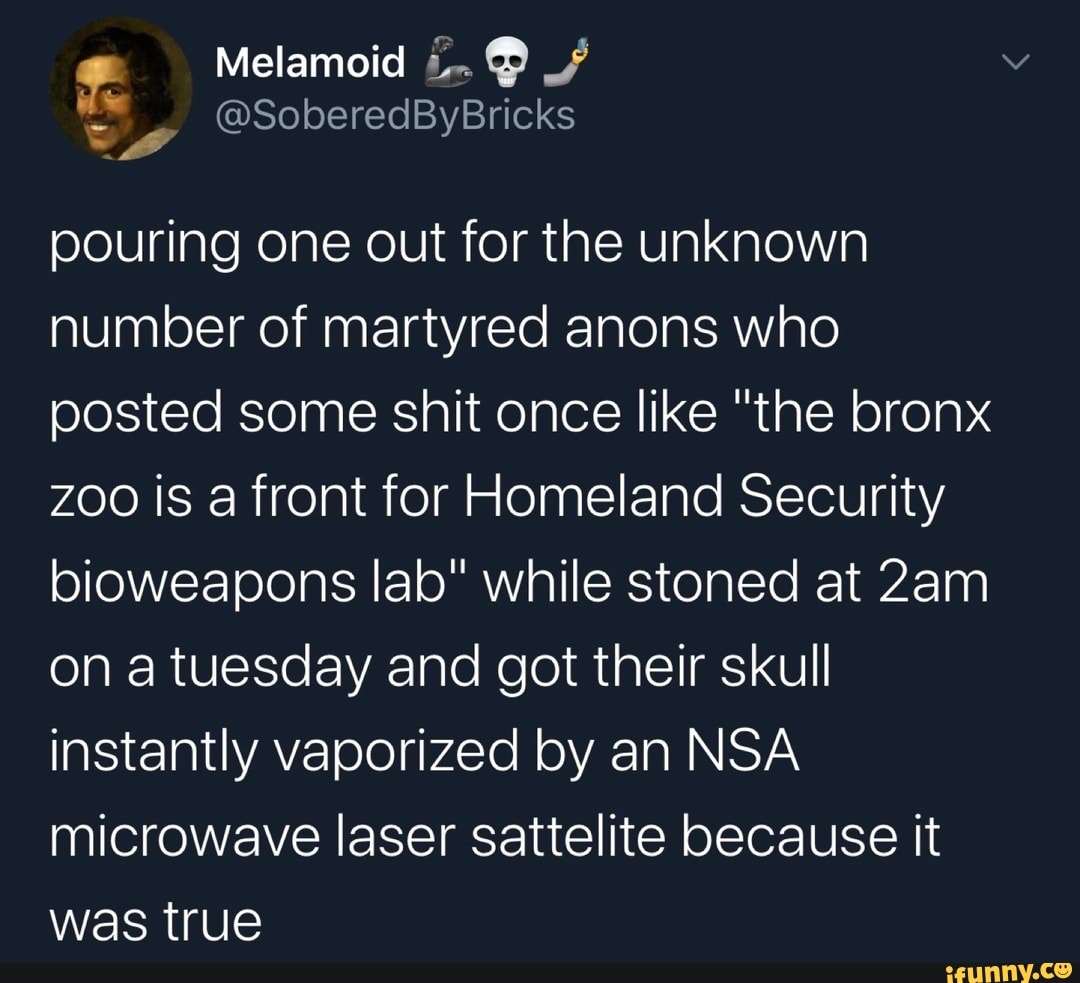 pouring one out for the unknown
number of martyred anons who
posted some shit once like "the bronx
zoo is a front for Homeland Security
bioweapons lab" while stoned at 2am
on a tuesday and got their skull
instantly vaporized by an NSA
microwave laser sattelite because it
was true