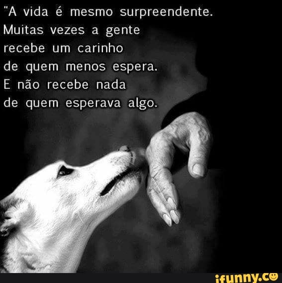 "A vida é mesmo surpreendente.
Muitas vezes a gente recebe um carinho
de quem menos espera.
E não recebe nada
de quem esperava algo.