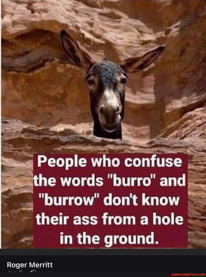 People who confuse the words 