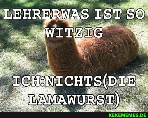 LEHRERWAS IsT so
WITZIG