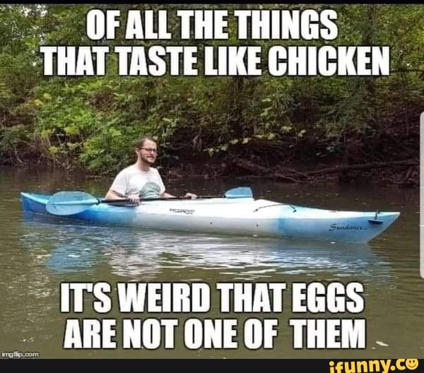 OF ALL THE THINGS THAT TASTE LIKE CHICKEN
Lay
IT'S WEIRD THAT EGGS ARE NOT ONE OF THEM