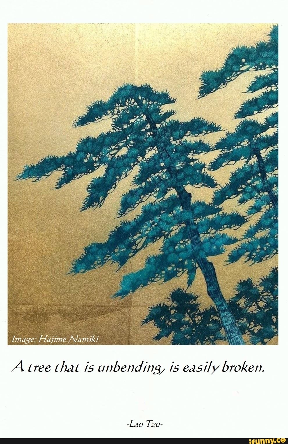 Namiki A, tree that is unbending, is easily broken. -Lao Tzu- - iFunny