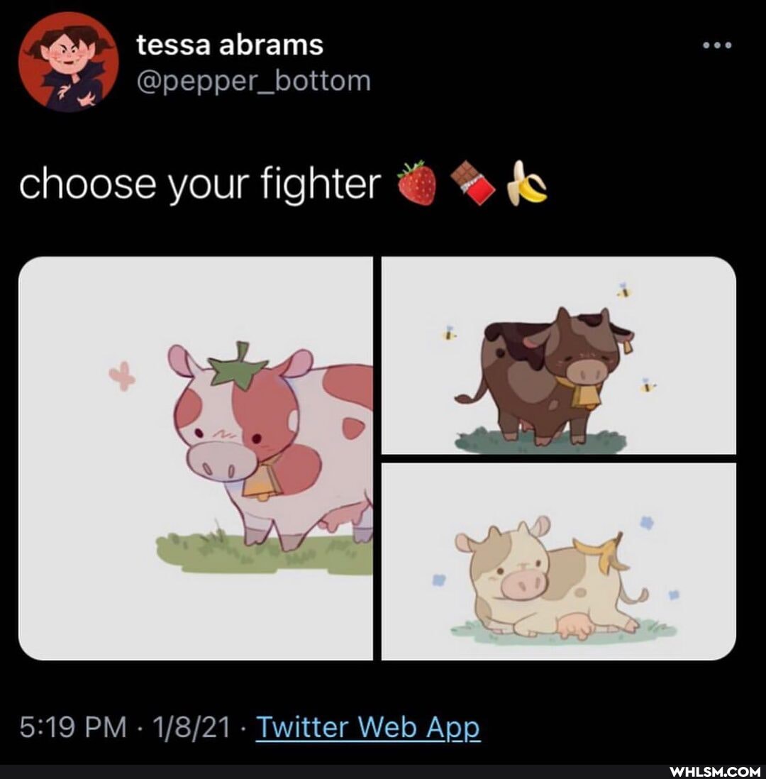 wy tessa abrams
choose your fighter fs