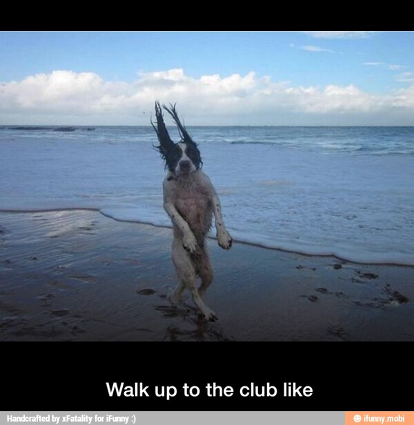 Walk up to the club like - Walk up to the club like