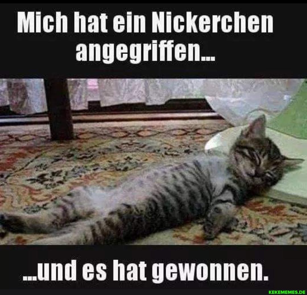 Mich hat ein Nickerchen angegriffen_
"und es hat gewonnen.