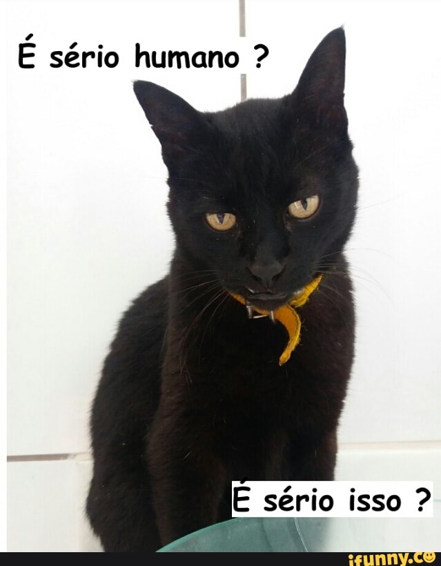 E sério humano