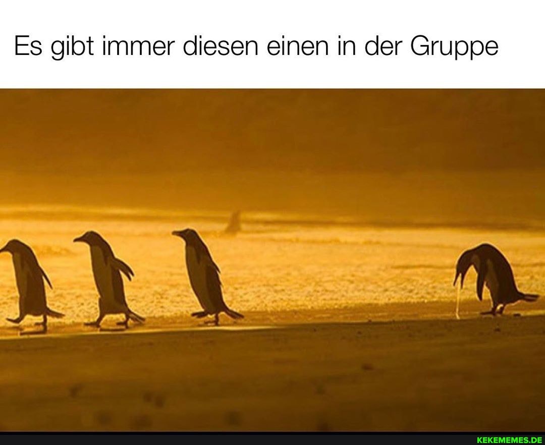Es gibt immer diesen einen in der Gruppe