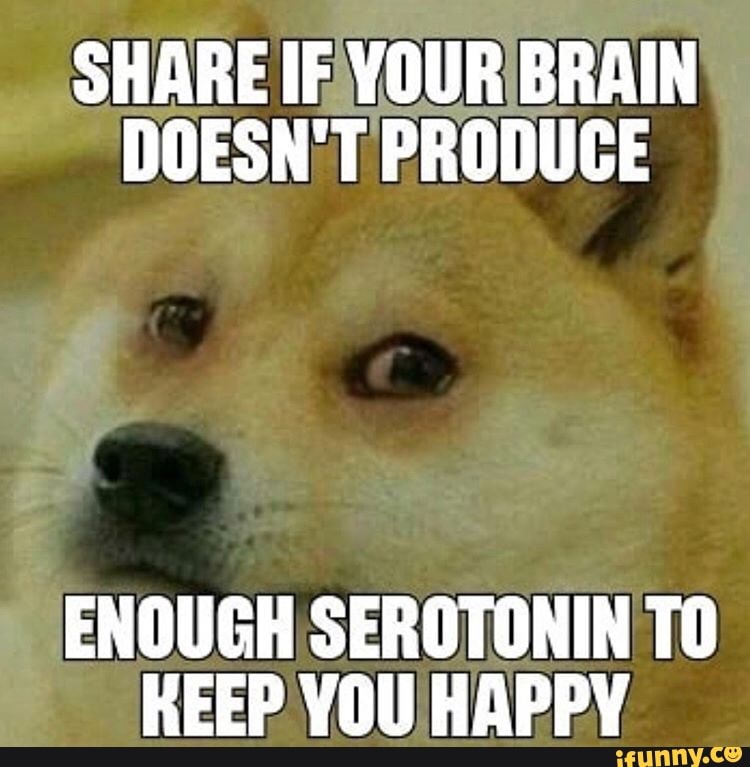 SHARE IE YOUR BRAIN
DOESN'T PRODUCE
ENOUGH SEROTONIN TO
KEEP YOU HAPPY