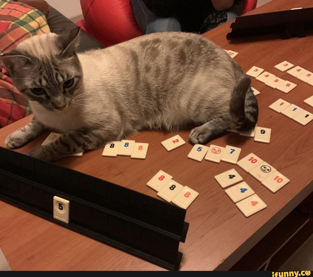 Rummikub memes. Best Collection of funny Rummikub pictures on iFunny