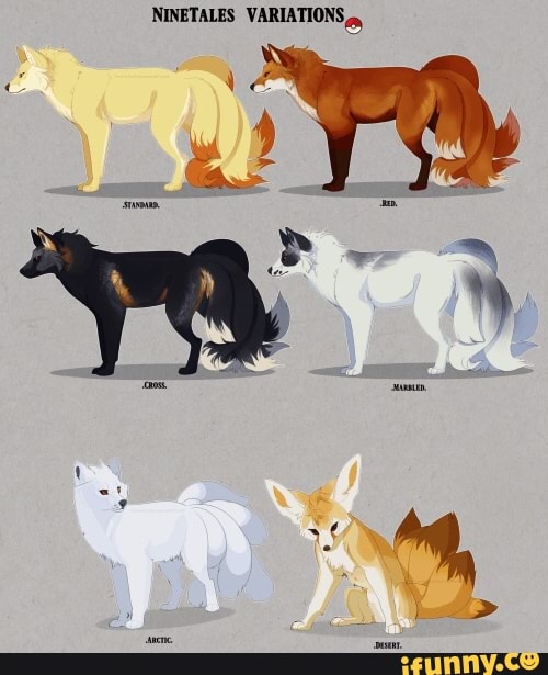 NINETALES VARIATIONS,
a