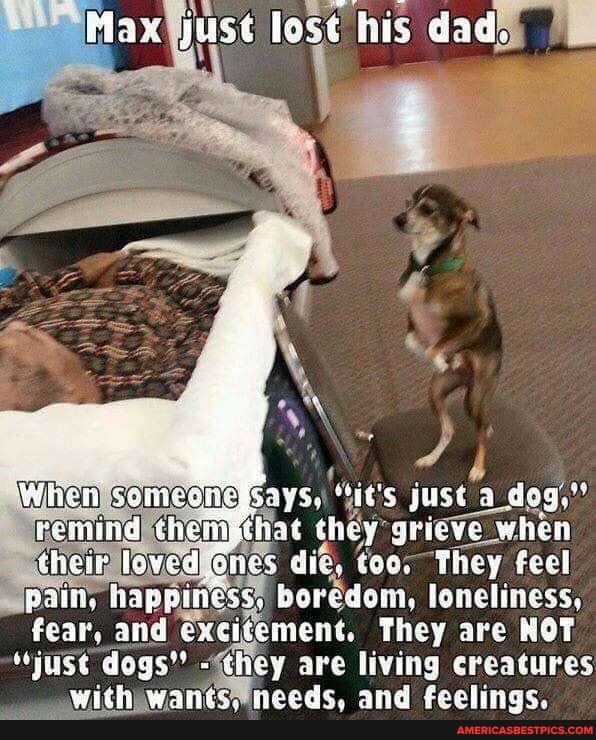 Max juse lost his dad.
"it's just a_dog," that hey" grieve when
When their loved ones die, toos They feel
PP fear, pain, and sigement. They are NOT dogs' hey are living creatures
with needs, and feelings.