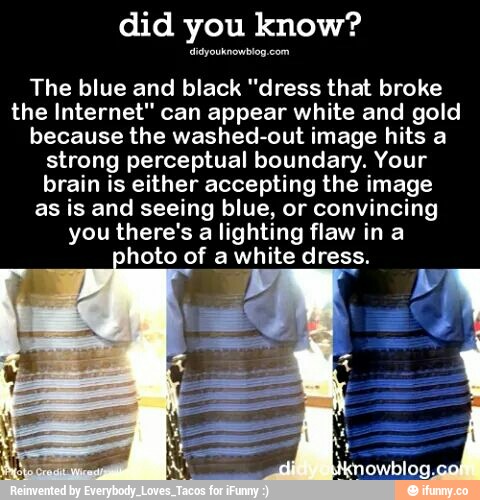 did you know?
alºyaukmwblºn w..
The blue and black "dress that broke
the Internet" can appear white and gold
because the washed-out image hits a
strong perceptual boundary. Your
brain is either accepting the image
as is and seeing blue, or convincing
you there's a lighting flaw in a
.
hoto of a white dress.