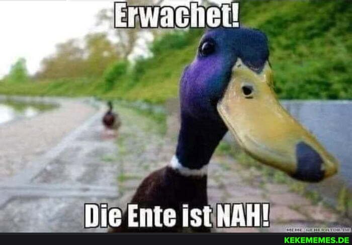 Erwache! fr