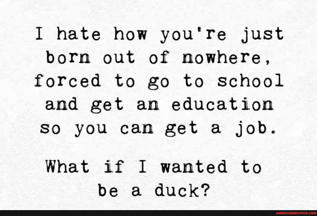 I hate how you're just born out of nowhere, forced to go to school and get an education
So you can get a job.
What if I wanted to be a duck?